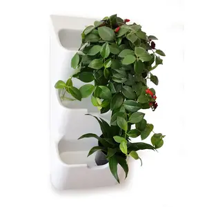 BOXSAND-6 Wall Planter, Living Wall (12"x26") - 6 Plants, White Color