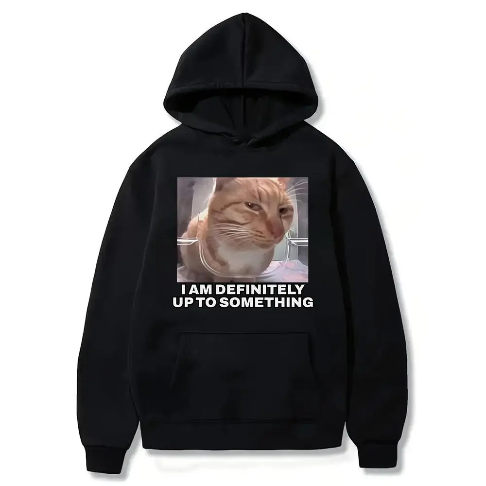 Funny I Am Definitely Up To Something Cat Hoodie, Goofy Cat Shirt, Cat Lover Gift, Cursed Cat Shirt, Funny Meme Shirt, Funny Cat Shirt Crewneck Cotton