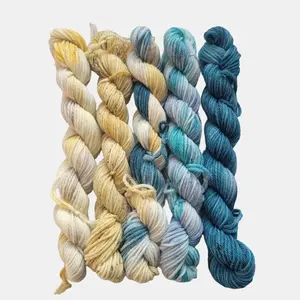 Moody Beach Set of Five Hand Dyed Yarn Colorways