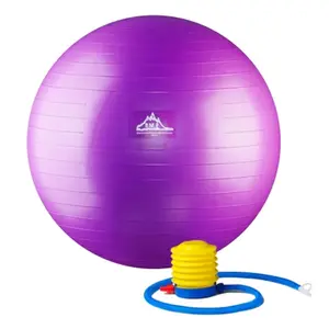 2000 lbs Professional Grade Stability Ball with Pump, Purple - 55 cm