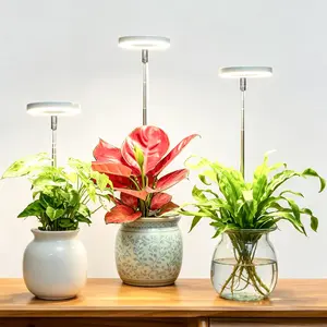 Full Spectrum LED Grow Light with Low Heat Operation, Indoor Plant Grow Light for Terrarium, Cabinet & Small Space, High Efficiency Plant Lamp for Succulents Herbs Seedlings Potted Plants