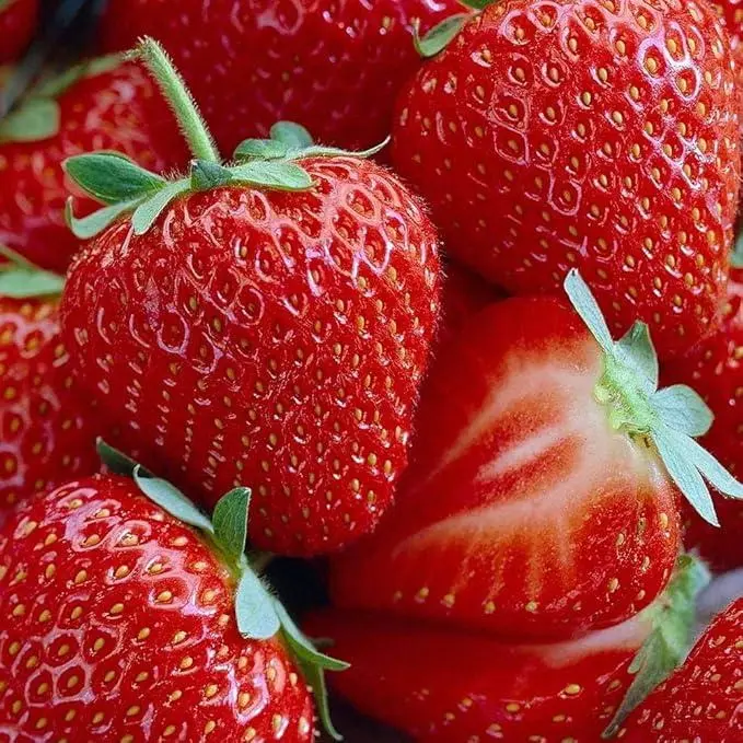 800-1000  Pcs Strawberry Seeds for Simple and Easy Planting Tips-Delicious Outdoor Planting