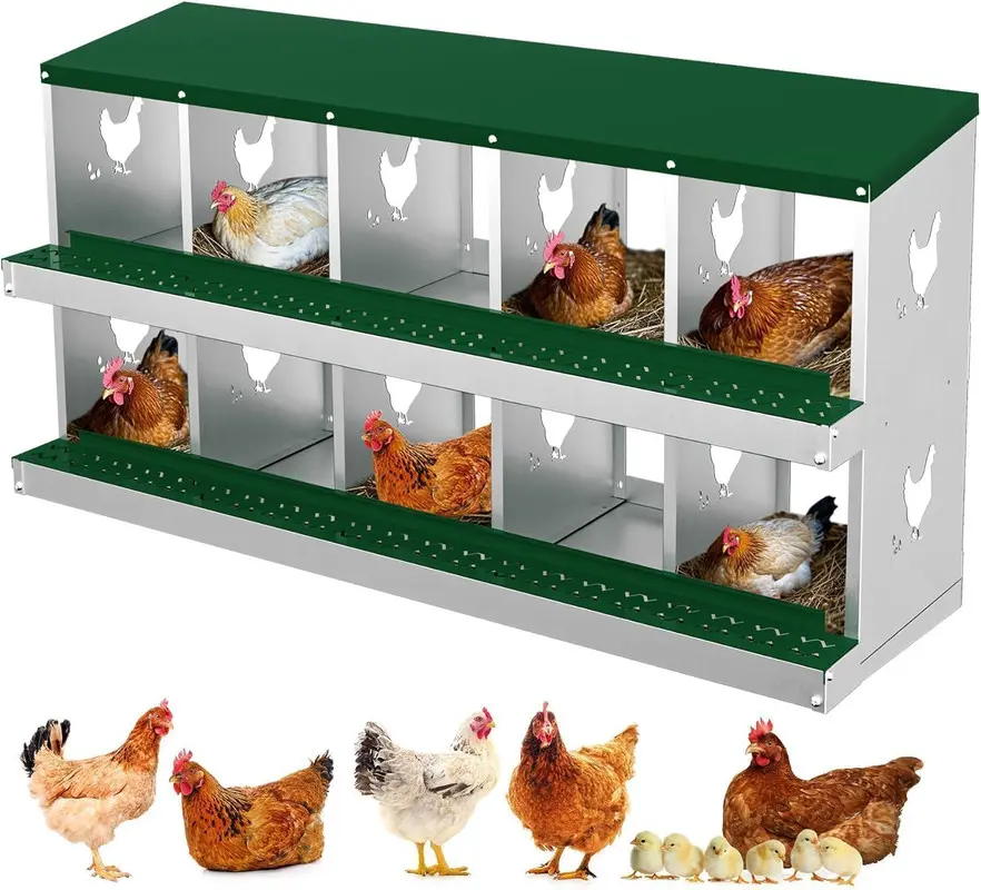 Wall-Mount 10-Hole Galvanized Steel Chicken Nesting Boxes with Metal Legs of High Tripod, Large Vented Roof, Auto-Rollout Collector, Comfortable Space for Hen & Goose Laying, Clean Eggs Support