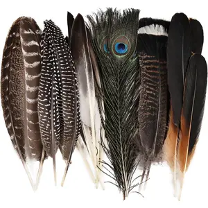 Large  Feathers Bulk-35PCS- 6 Styles   Feathers, Peacock Feathers, Pheasant Feathers, Turkey Feathers for DIY Crafts, Wedding, Crafting Supplies