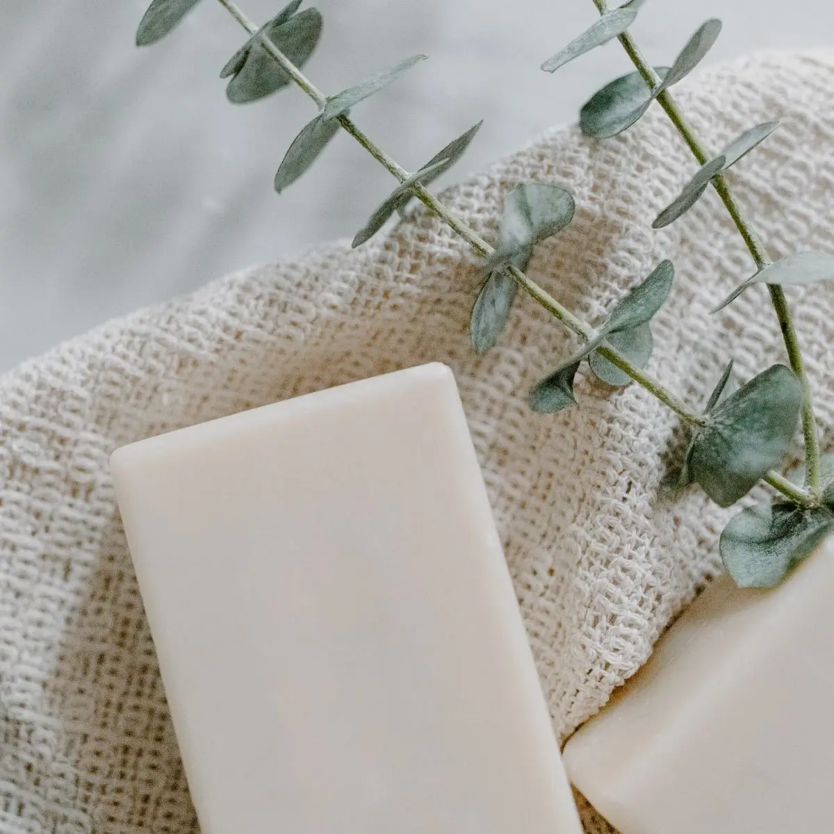 Eucalyptus - Regular Candle Fragrance Oil
