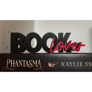 Book Lover Bookshelf Decor