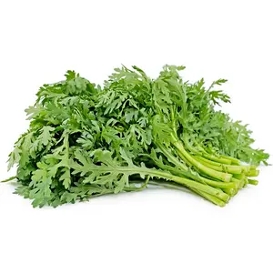Chrysanthemum Seeds (Shungiku Tong Ho Tan Ngo Cai Cuc Tần Ô) Cool-season Annual Heirloom Non-GMO Spring to Early Fall Harvest 40-60 Days by Mai's Family