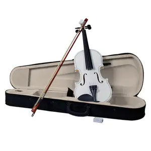 4/4 Acoustic Violin Set - White Case+Bow+Rosin! Beginner-Friendly