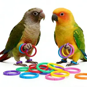 Colorful Plastic Parrot Toys, DIY Hanging Links for Medium-Sized Birds, Durable Bird Cage Decor, Psychological Stimulation, Indoor Outdoor Use