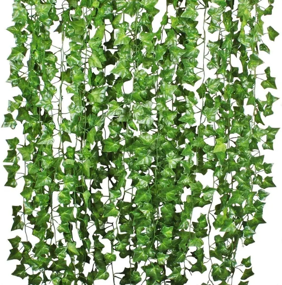 WS Ivy Vines - New Venue Minimum Order 2 Packs