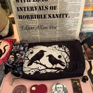 Literary Special: EDGAR ALLAN POE Bookish Bundle! For Poe and Gothic Fans and Readers, Book Lovers