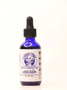 Magic City Fungi Lion's Mane Dual Extract Mushroom Tincture 2 FL oz Natural Supplement for Cognitive Function & Memory Support US Healthcare Bathroom