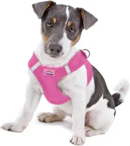 Doggie Design American River Ultra Choke-Free Mesh Step-In Dog Harness - Candy Pink, Size S