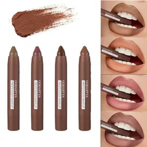 4 Color Matte Lip Liner Set Long-Wear Waterproof Smooth Lip Color for Daily & Evening Makeup Rich Velvety Texture - Gloss, Cosmetic beauty Plumping Lip Gloss glossy lipstick lipliner makeup gift