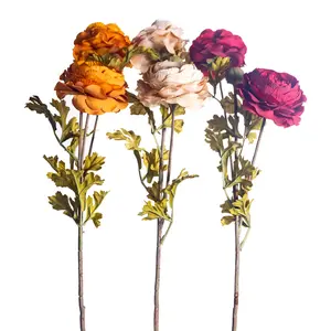 Royal Ranunculus Stems