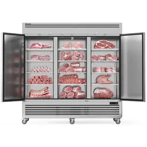 Coolski 82" W Commercial Freezer 72 Cu.ft 3 Door Reach-in Stainless Steel Commercial Freezer