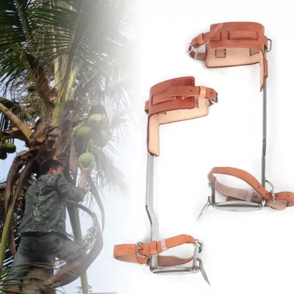 Professional Tree Climbing Spikes 304 Stainless Steel Spurs with Cattle Hide Straps 200kg Capacity for Arborist Work