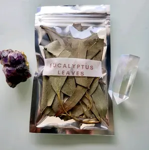 Eucalyptus Leaves