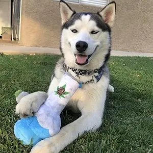 Potent Puppy Toy - parody plush bong for dogs