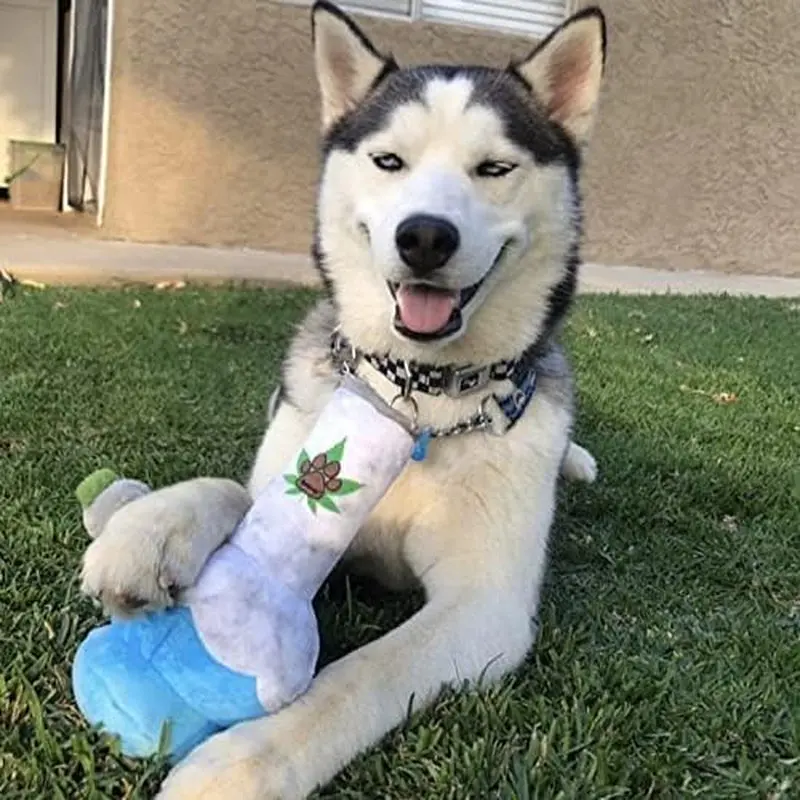 Potent Puppy Toy - parody plush bong for dogs