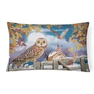 Carolines Treasures  12 x 3 x 16 in. Short-Eared Owl in the Churchyard Canvas Fabric Decorative Pillow