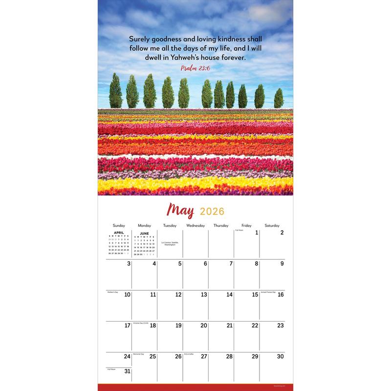 2026 Psalms Wall Calendar