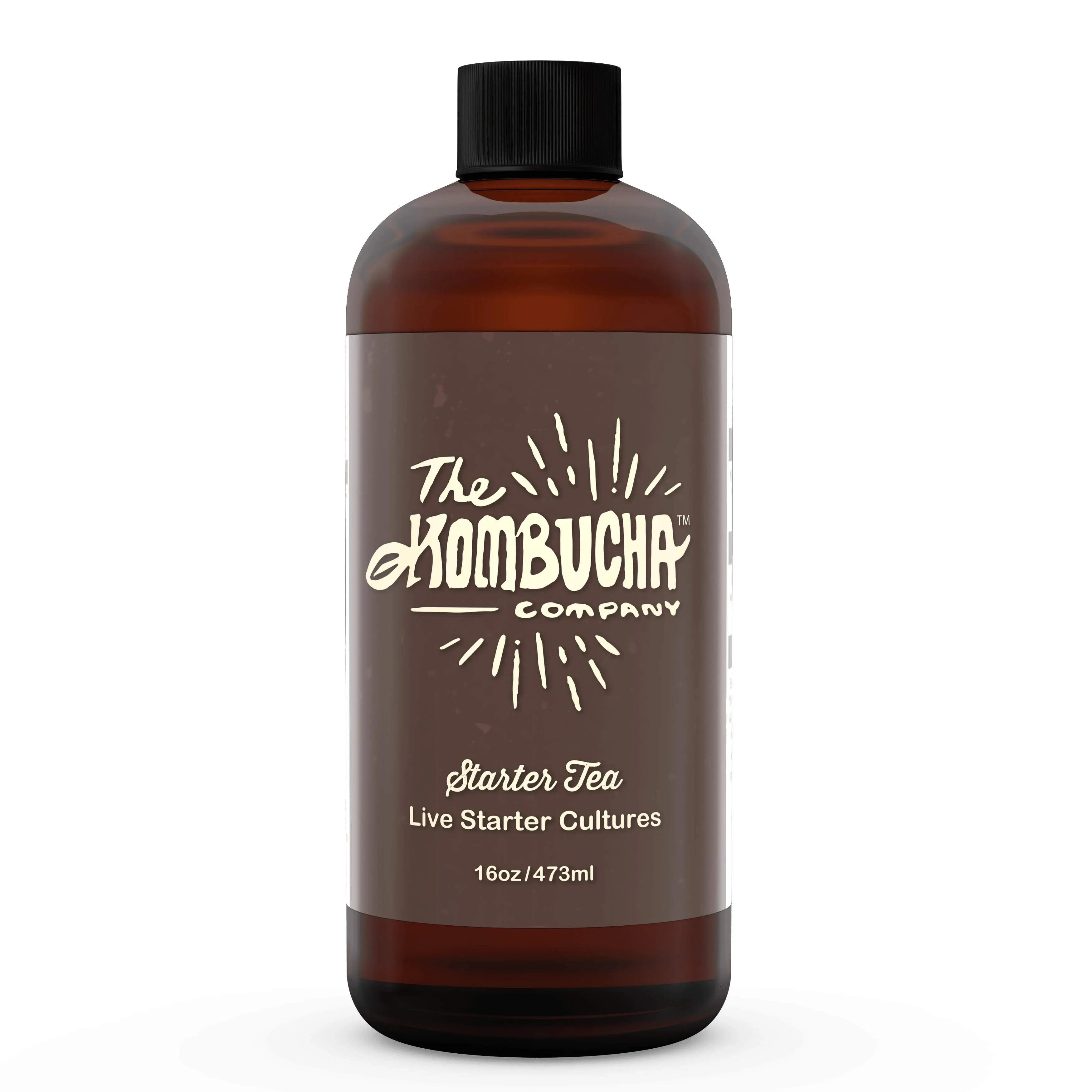 The Kombucha Company Starter Tea | 16 oz Bottle | Live Cultures for Brewing 1 Gallon of Homemade Kombucha Tea | No Scoby | Bottled Kombucha Starter Tea Only