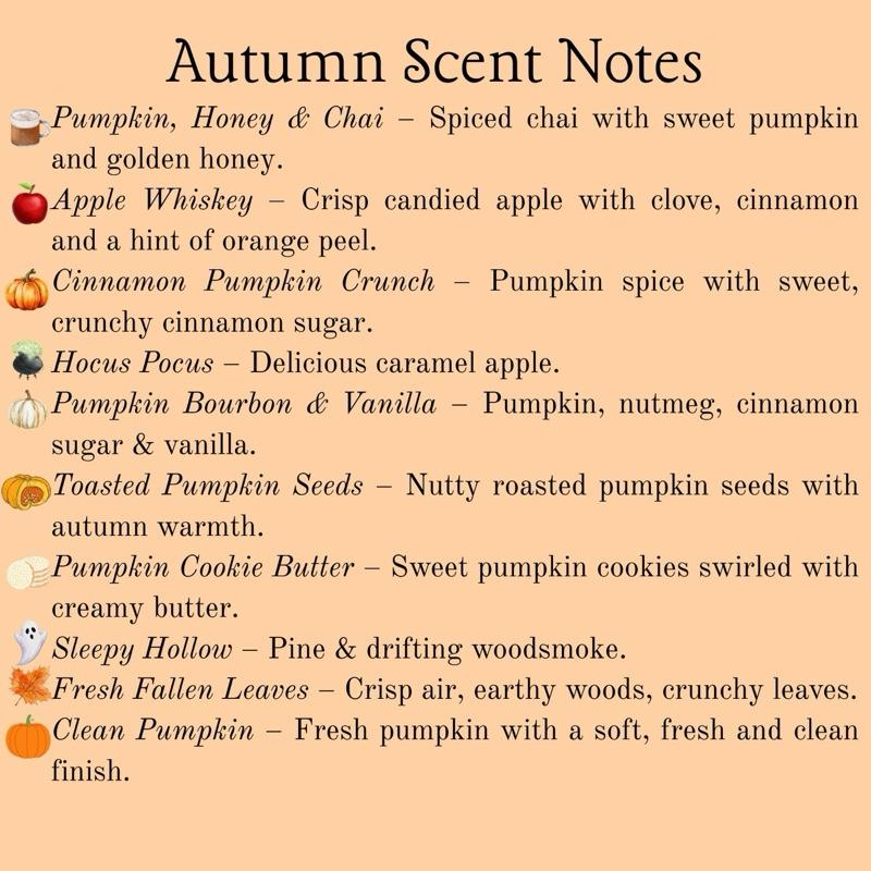 Fall Mega Cleaning Bundle for Whole House Clean | Mop Soap, All-Purpose & Carpet Freshener Floor Cleaner  Interior Detail Cleaner Household