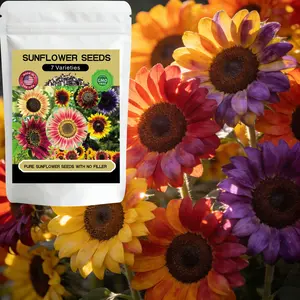 7 Varieties Mixed Sunflower Seeds 1000+Pcs, Featuring Giant Mammoth Grey Stripe Heirloom Non-GMO Seeds, Ideal for Outdoor & Hydroponic Gardens, Tall Colorful Blooms to Attract Pollinators