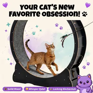 PawSquad 48" Cat Exercise Wheel — Keep Your Indoor Cat Active & Happy