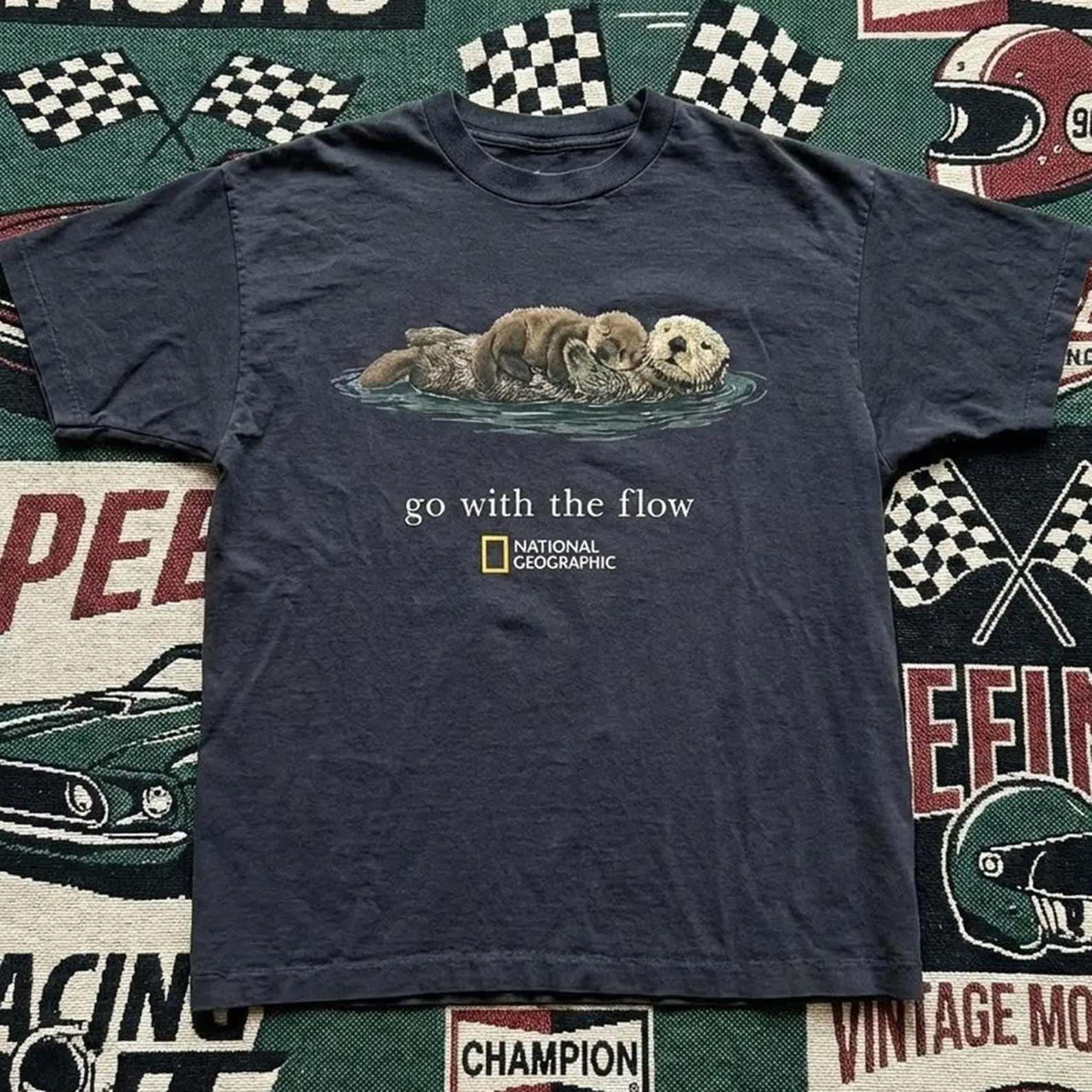 National Geographic Otter Graphic T-Shirt, Vintage 90s Y2k Style Top