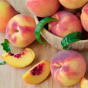 Peach Candle