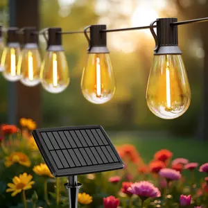 Daybetter S14 Solar outdoor string LED lights, patio lights shatterproof and dimmable vintage Edison bulbs, IP44 weatherproof, four lighting modes for terraces, camping, bars, corridors, parties(New & Old Styles Mixed Delivery).