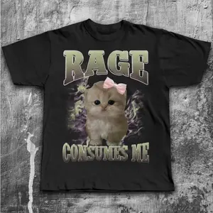 Rage Consumes Me Funny Cat Meme Tee Shirt and Sweatshirt, Silly Cats T-shirt, Stupid Gifts, Brainrot Shirts and Sweatshirt, Ugly Tees and Sweatshirt, Unhinged Clothes, Gift for Her, Hoodie and Sweatshirt for autumn and winter