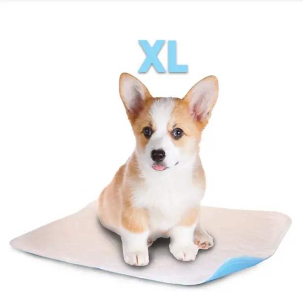 Lennypads Extra Large Eco-Friendly Leak-Proof Ultra-Absorbent Reusable Fabric Pet Training Pads - 28x32 in, White, for Dogs & Cats