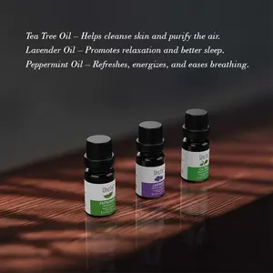 Waterless Essential Oil Diffuser Starter Kit with 3 x 10mL Hotel Scent Fragrance Oil Battery Operated Mini Scent Air Machine Portable Diffuser for 600 sq ft Room Home Office Bedroom Deep Space Gray Set Perfume Aroma