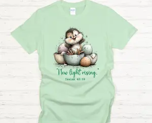 Isaiah 43:19 New Light Rising