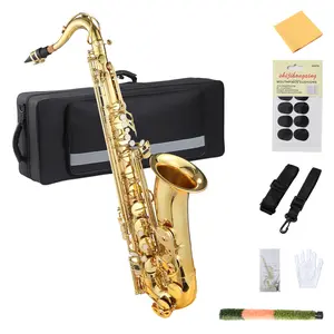 Affordable Eb Alto Saxophone for Beginners, High Resonance Brass Sax Set with Backpack Case & Stand, School Band Approved Alto Saxophone Kit with Mouthpiece Reeds, Premium Gold Lacquer Musical Instrument for Adults Kids