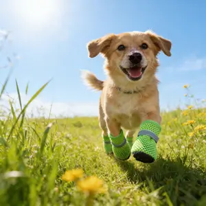 Trendy Reflective Dog Shoes for Small Dogs, Anti-Slip Durable Pet Footwear, Bichon Corgi Various Pets, Non-Skid Wear-Resistant