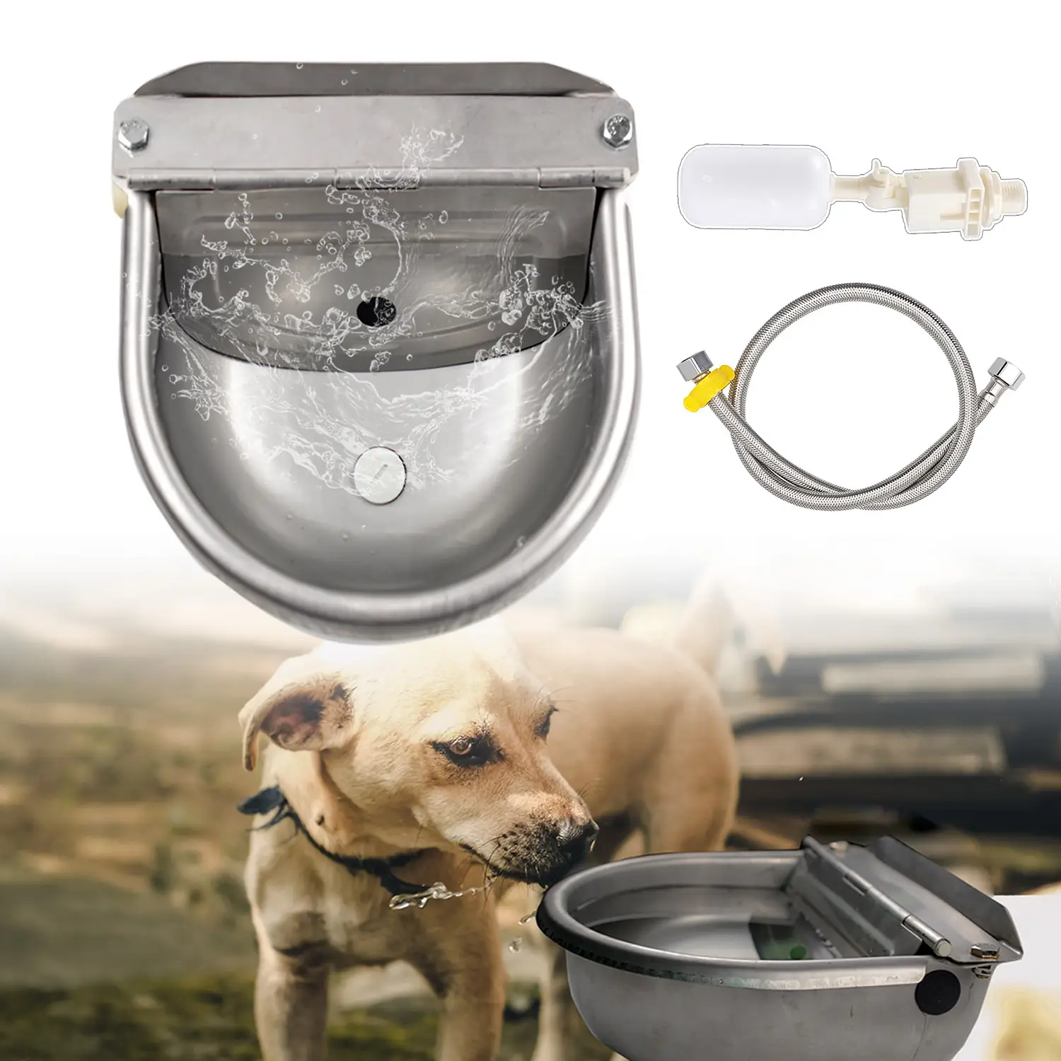 Automatic Pet Waterer Durable Stainless-Steel Water Bowl Dispenser for Dogs, Cattle, Goats & More - Easy Clean