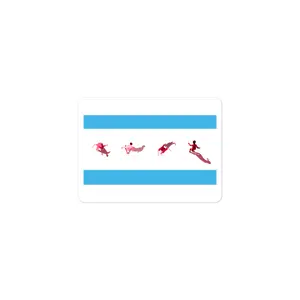Chicago Soccer Flag Sticker