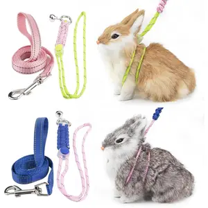 2pcs Figure 8 Harness and Leash with Reflective Strap and Bell for Ferrets, Rabbits, Bearded Dragon, Guinea Pig, Chinchilla and Hamster Small Animal Harness (Blue+Pink)