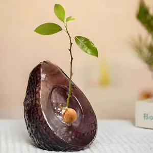 4.6 Inch Avocado Planting Glass Vase, Large Avocado Growth Container, Indoor Avocado Seedling Pot, Gardening Gift Set