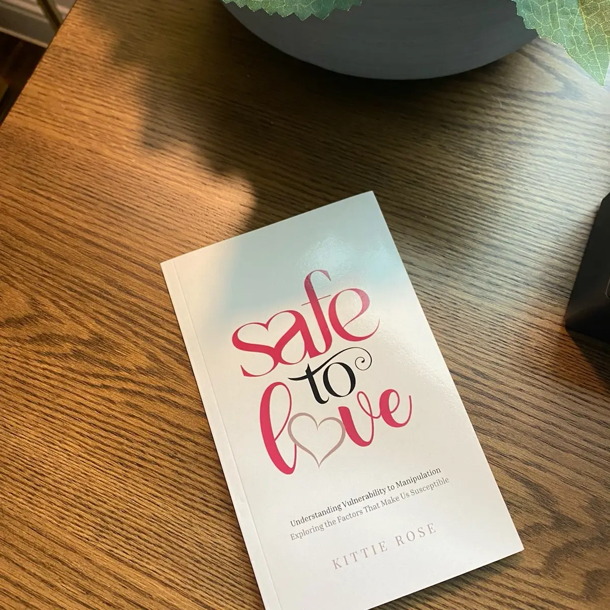 Safe to Love: Understanding Vulnerability to Manipulation Book