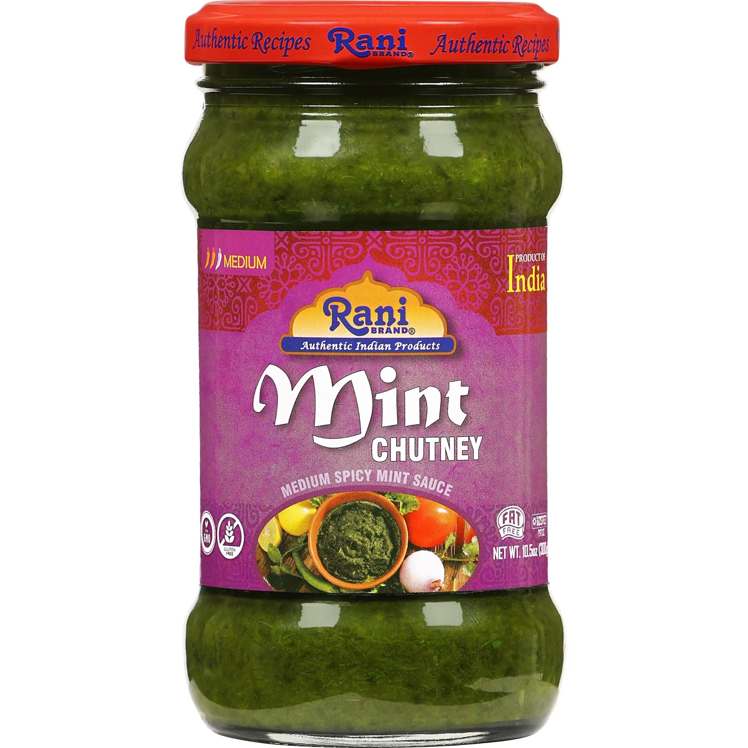 Rani Mint Chutney (Podina) 10.5oz (300g) Glass Jar, Ready to Eat ~ Vegan | Gluten Free | NON-GMO | Kosher | No Colors | Indian Origin