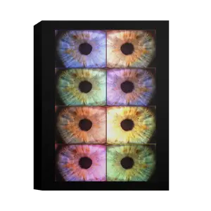 Iris Deluxe Canvas 1.5in Frame