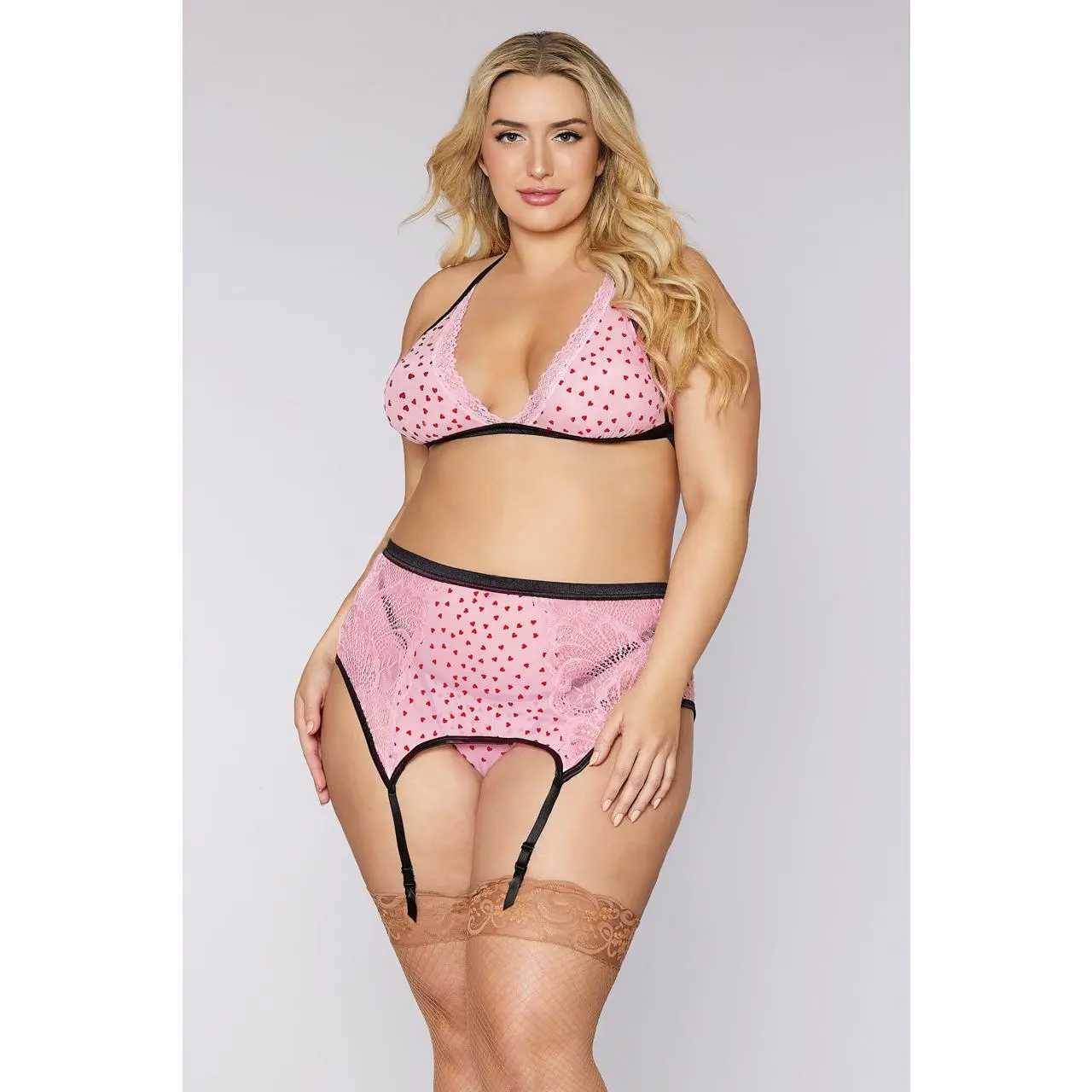 Plus Size Flocked Heart Mesh and Lace Garter Set