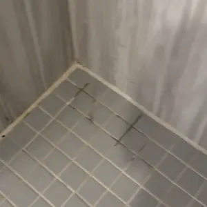 Product Review of Trucozie Electric Spin Scrubber, Cordless Cleaning Brush with 440RPM/90Mins Runtime, 3 Adjustable Angles&Sizes, 6 Replaceable Brush Heads, 2 Speeds for Bathroom Glass, Car Cleaning, Bathtub, and Shower from O** L**s