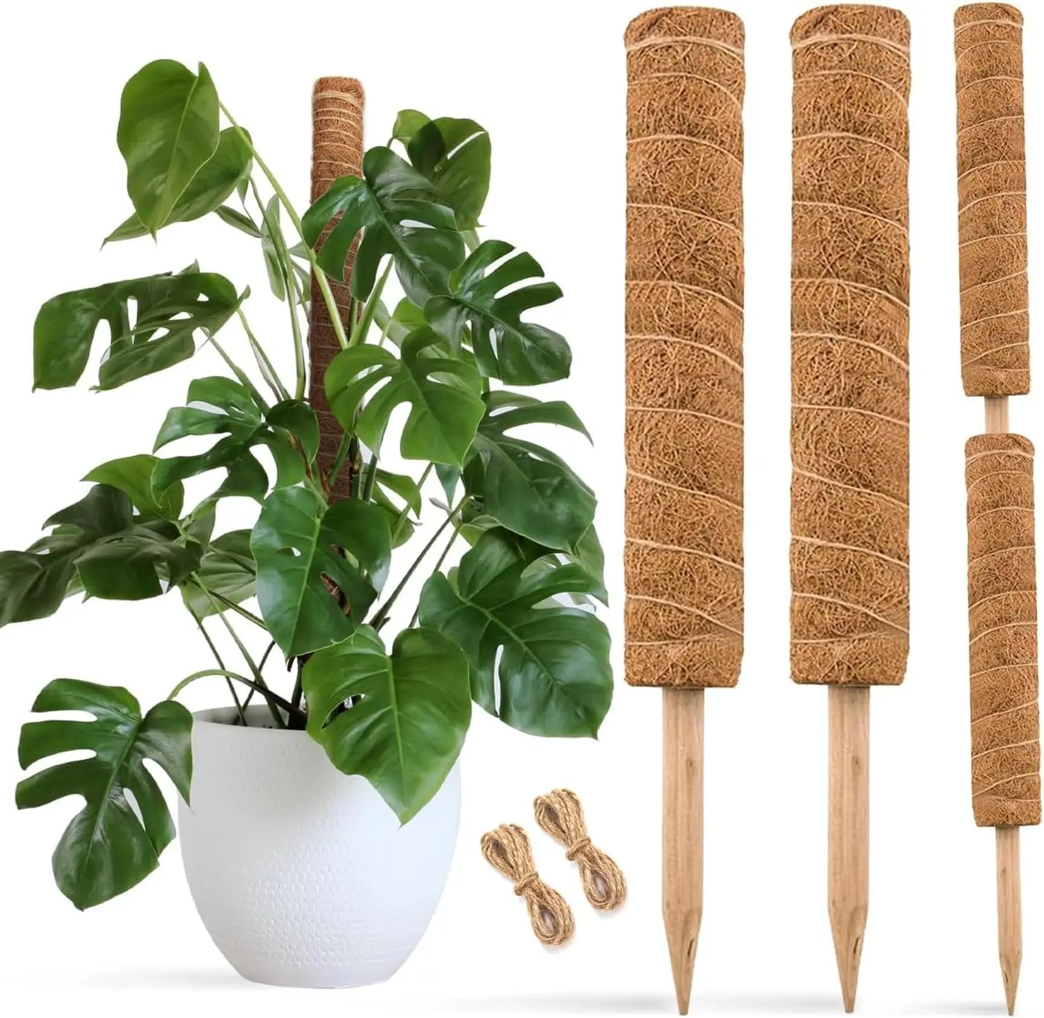30 Inch Moss Pole for Climbing  - 2 Pack 15 Inch Coir Totem Pole  Support with 65  Garden Twist Tie for Monstera and Potted  to Grow Upwards