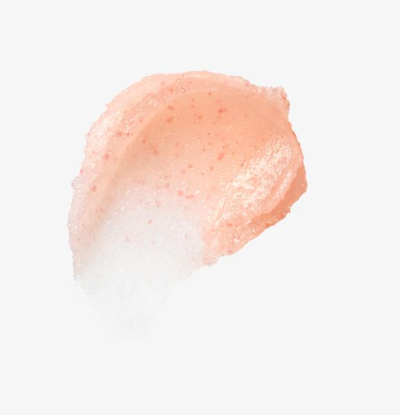 Salts of the Earth Body Scrub